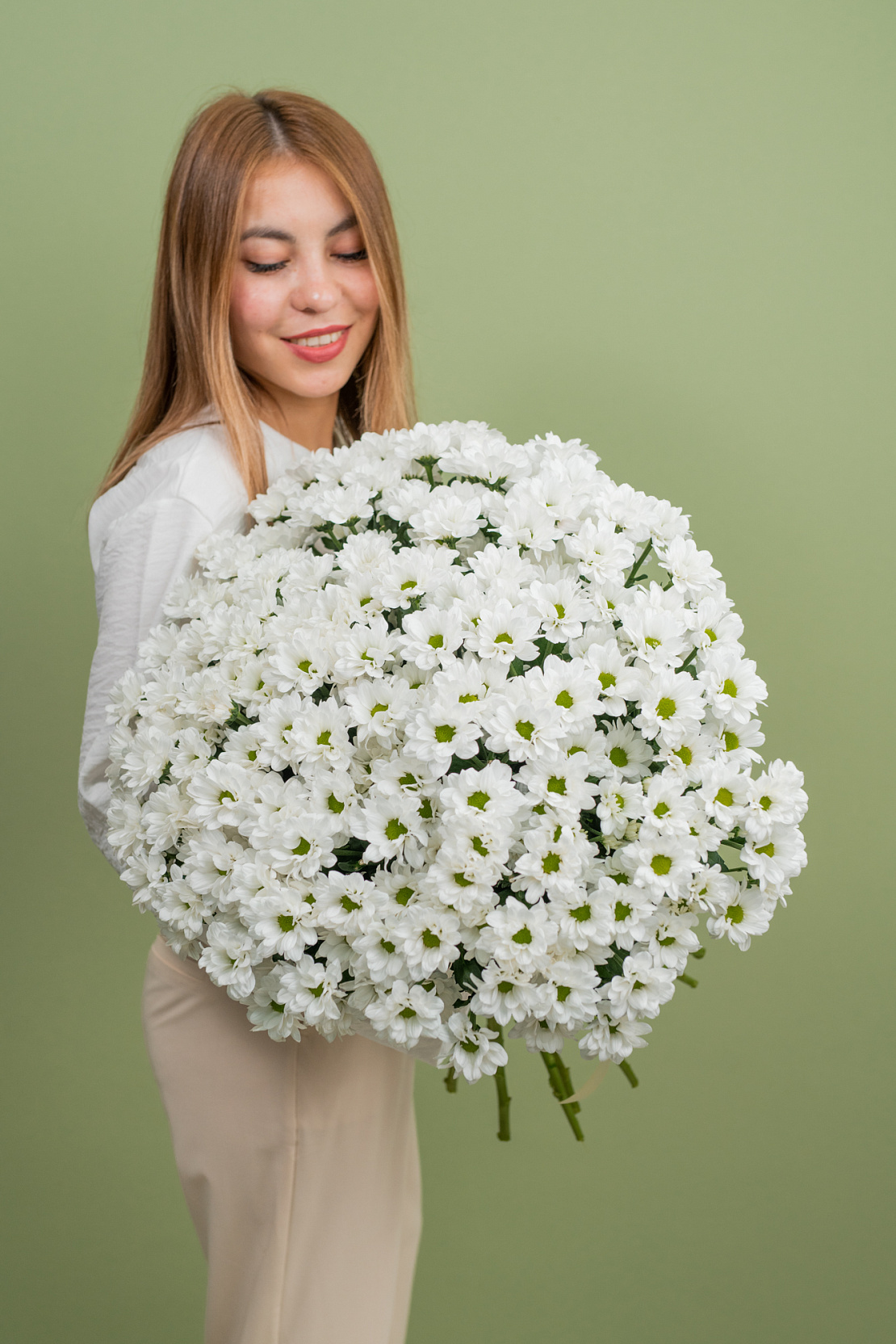 Хризантема Chic